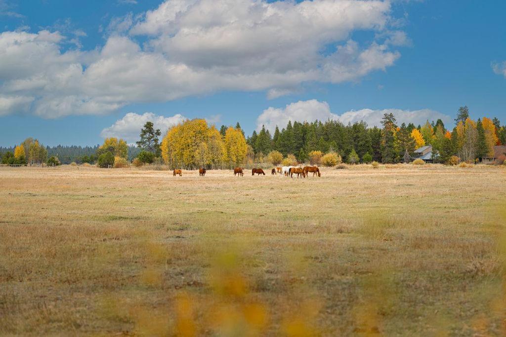 Coyote - Unit 15 Villa Sunriver Exterior foto